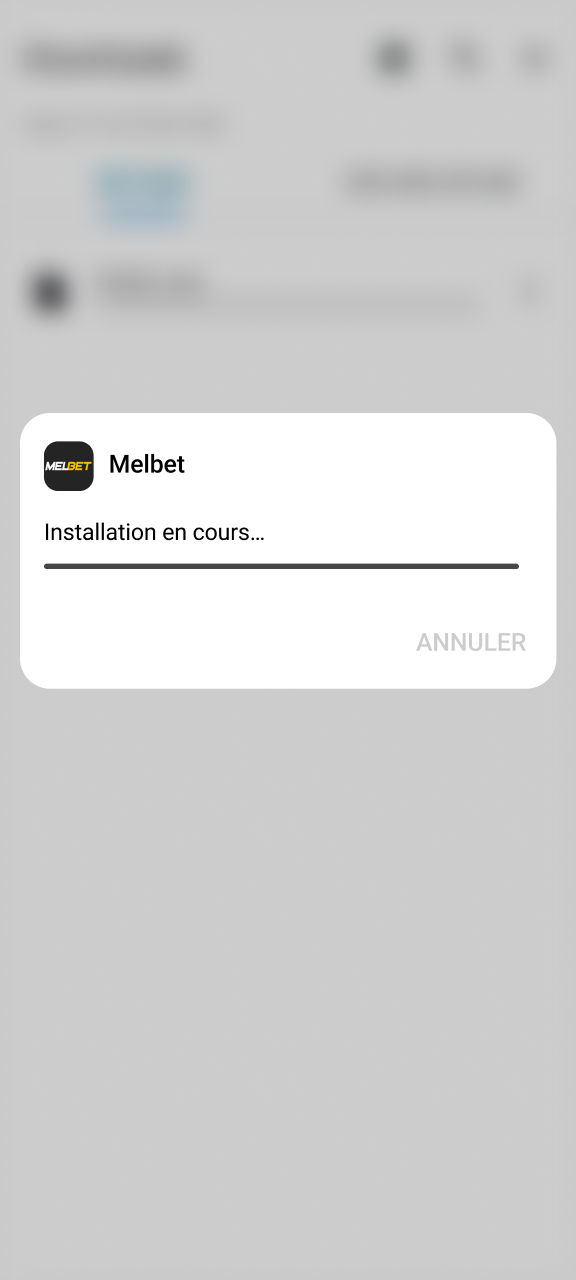Finalisez l'installation du fichier pour lancer votre application Melbet.