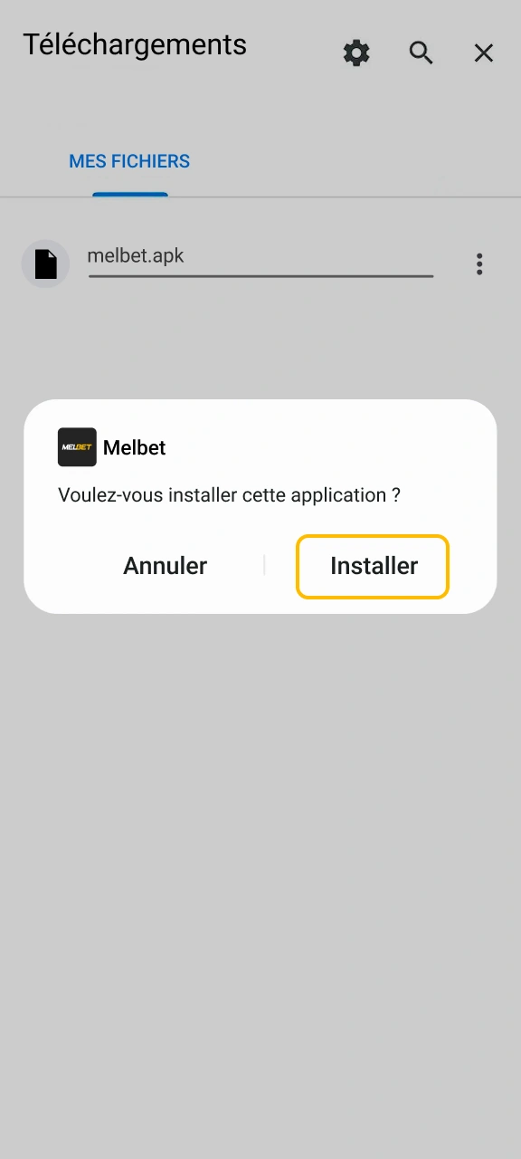 Lancez l'installation mobile pour jouer à Aviator facilement sur Melbet.