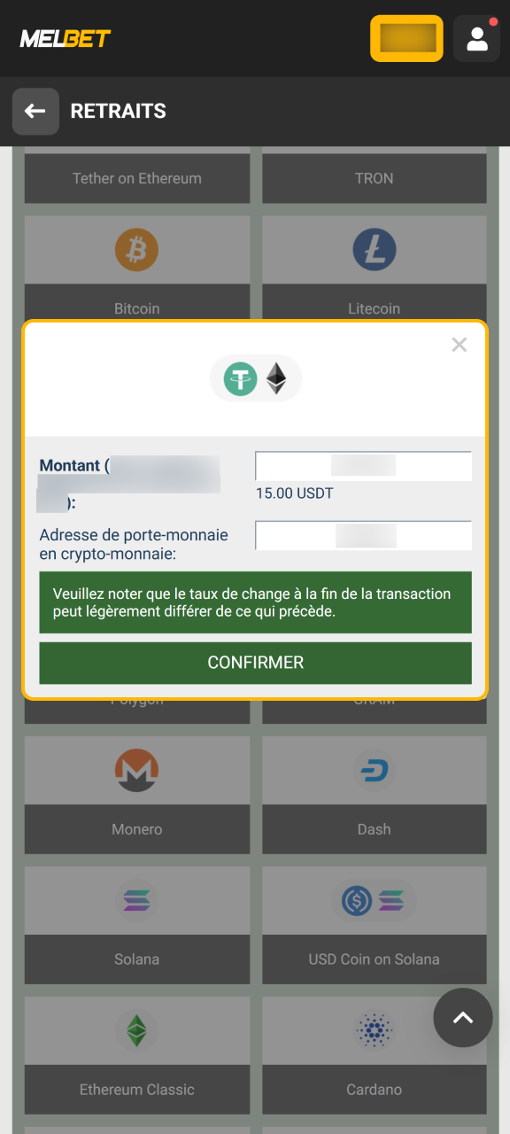 Tapez le montant ainsi que vos coordonnées de paiement Melbet.